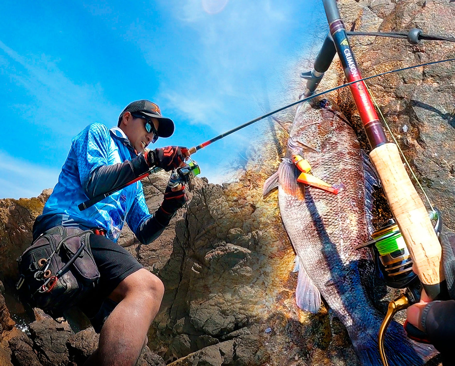 TAILWALK CRIMSON S98M-R caña de pescar corvina lenguado